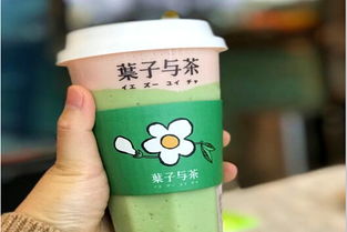 加盟葉子與茶需多少費用？冰淇淋加盟機遇解析